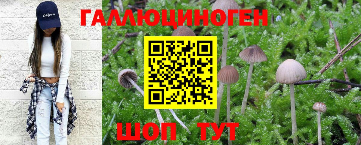 Псилоцибиновые грибы мухоморы  Вход с VPN  Саратов 