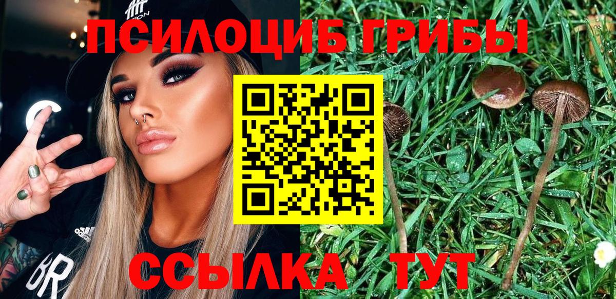 Псилоцибиновые грибы Magic Shrooms Саратов